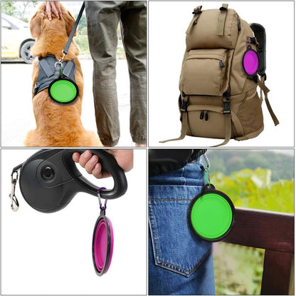 Collapsible Pet Bowls for Dogs and Cats - 2 Pack Portable Feeding and Watering Dishes with Carabiners (Small, Green and Purple)