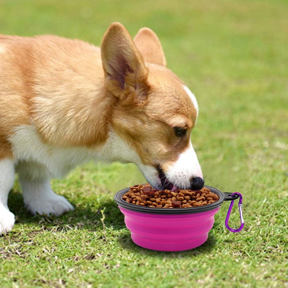 Collapsible Pet Bowls for Dogs and Cats - 2 Pack Portable Feeding and Watering Dishes with Carabiners (Small, Green and Purple)