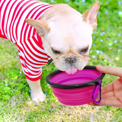 Collapsible Pet Bowls for Dogs and Cats - 2 Pack Portable Feeding and Watering Dishes with Carabiners (Small, Green and Purple)