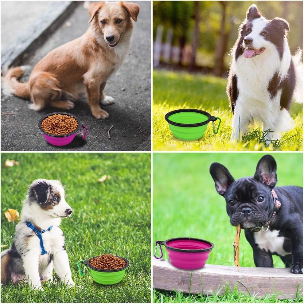 Collapsible Pet Bowls for Dogs and Cats - 2 Pack Portable Feeding and Watering Dishes with Carabiners (Small, Green and Purple)